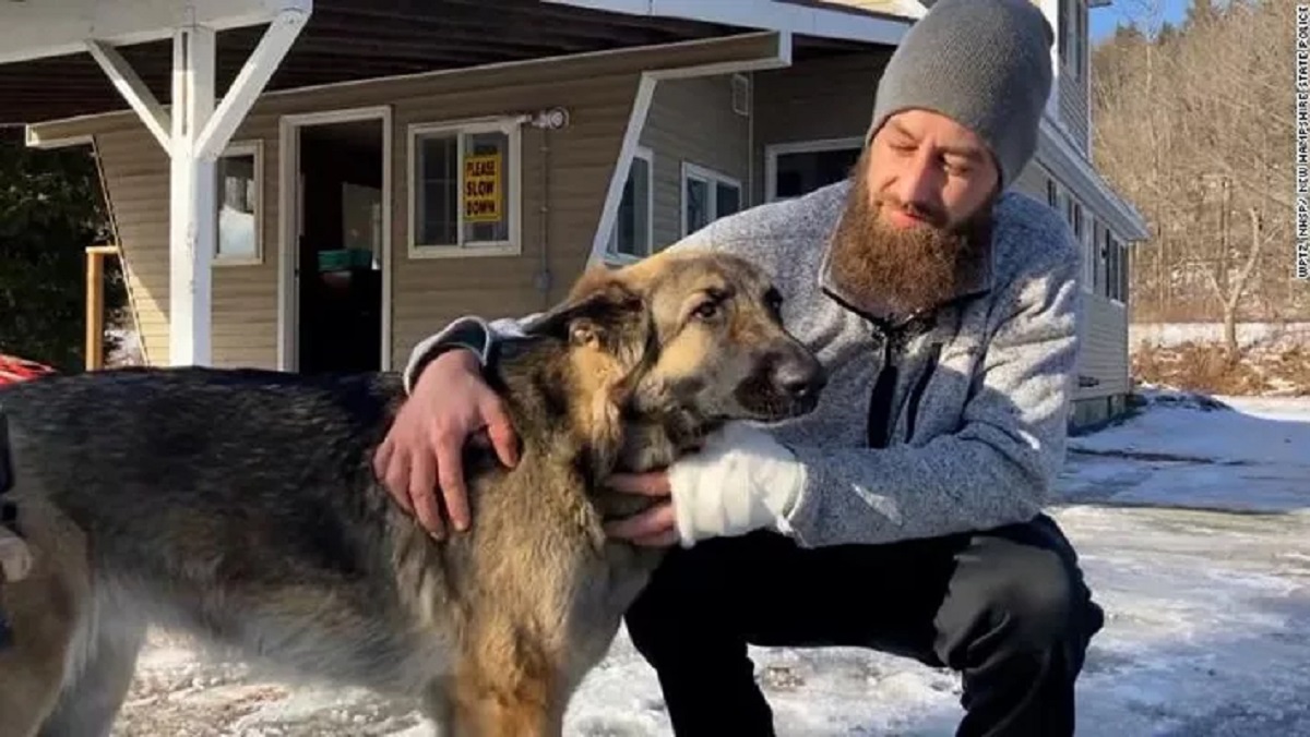 Cane salva il proprietario ferito