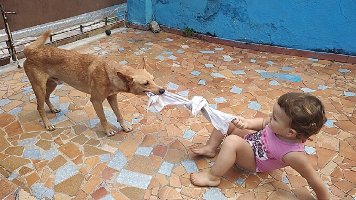 Cucciolo salvato dalla strada