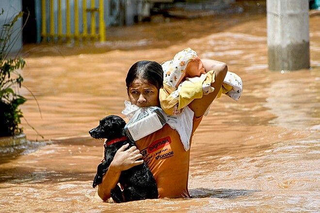 abbandonare il suo cane