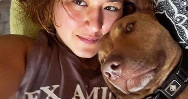 primo cane riconosciuto come essere senziente
