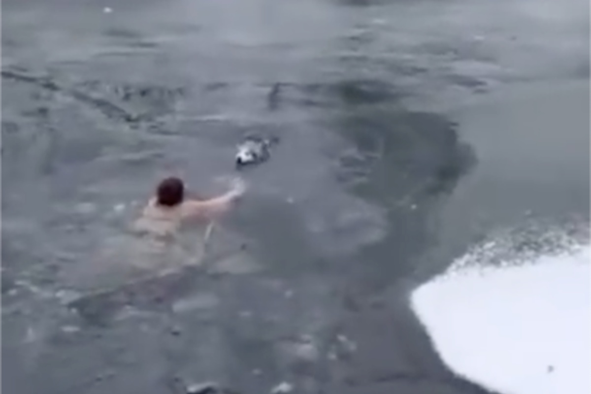 Donna di 65 anni salva un cagnolino dal fiume gelido