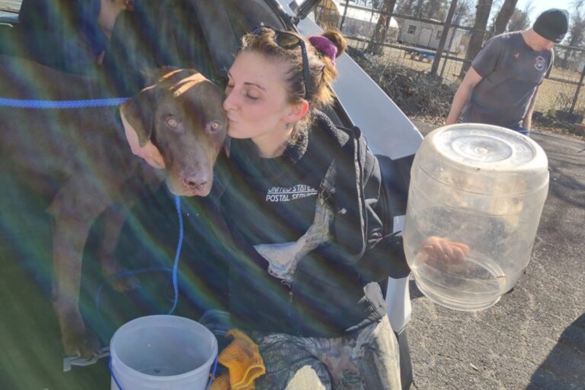 Cagnolino con la testa bloccata in un barattolo