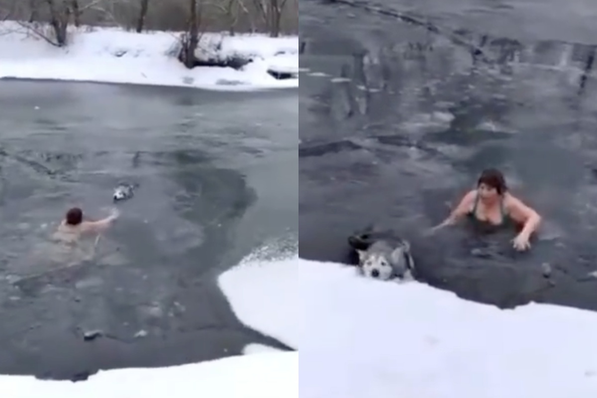 Donna di 65 anni salva un cagnolino dal fiume gelido