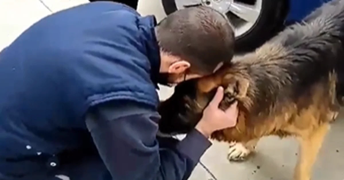 Dopo 7 anni il cane Dico ritrova la famiglia