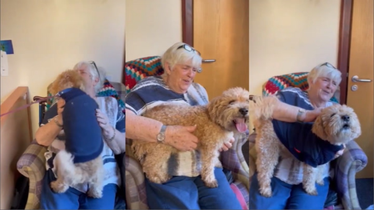 Il video del cagnolino Jak che rivede la sua anziana mamma
