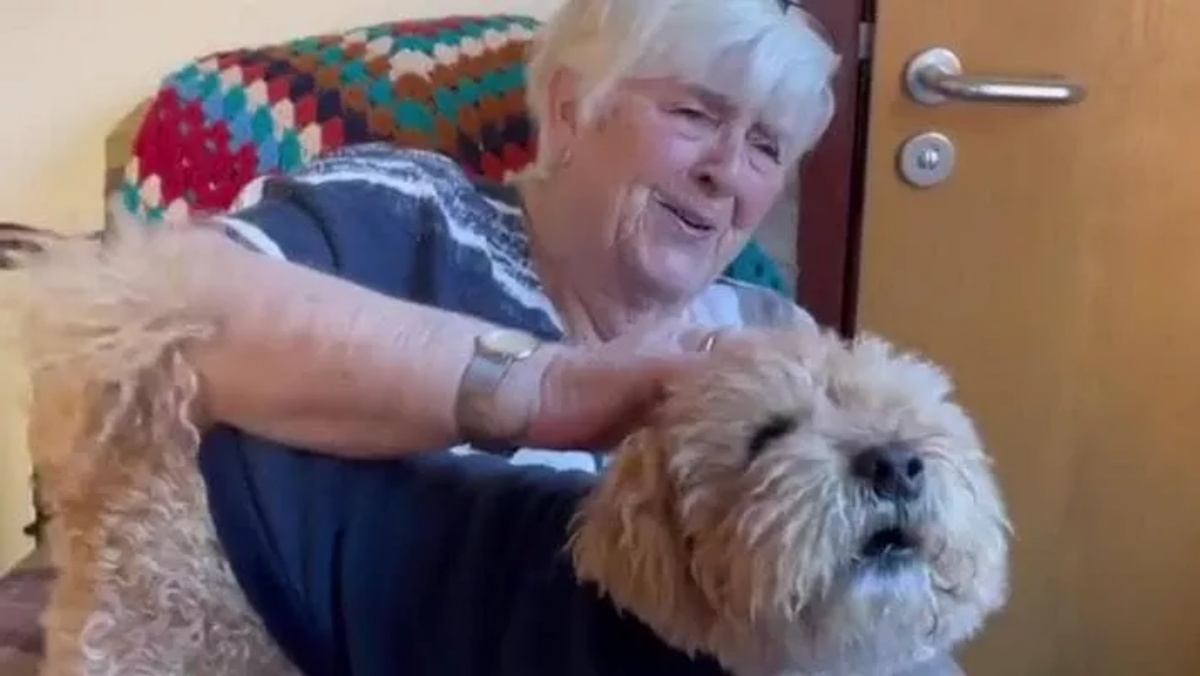 Il video del cagnolino Jak che rivede la sua anziana mamma