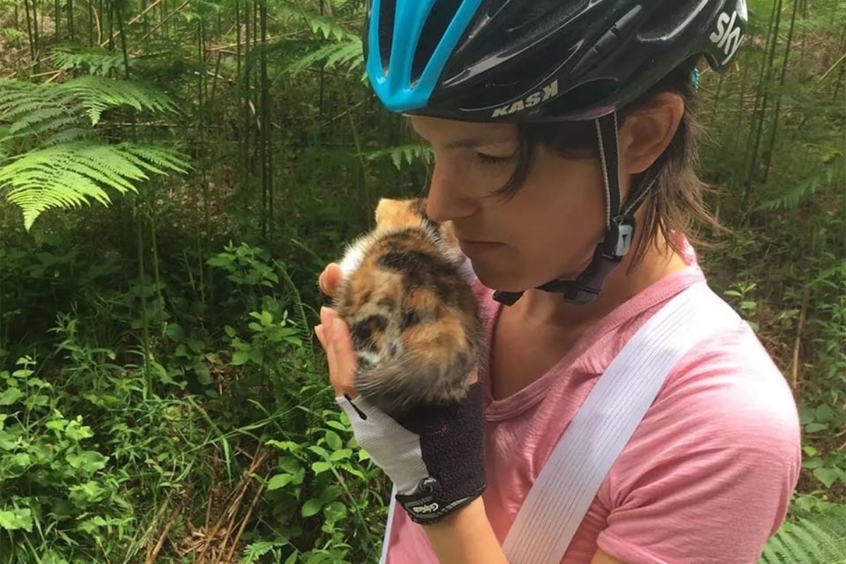 Il salvataggio di Mini Kitty