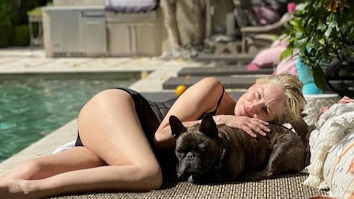 Morto il cane di Sharon Stone