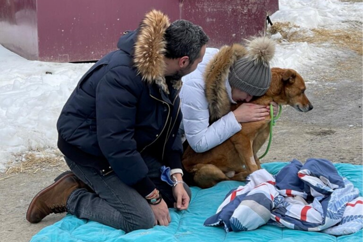 Il ritrovamento di Teddy