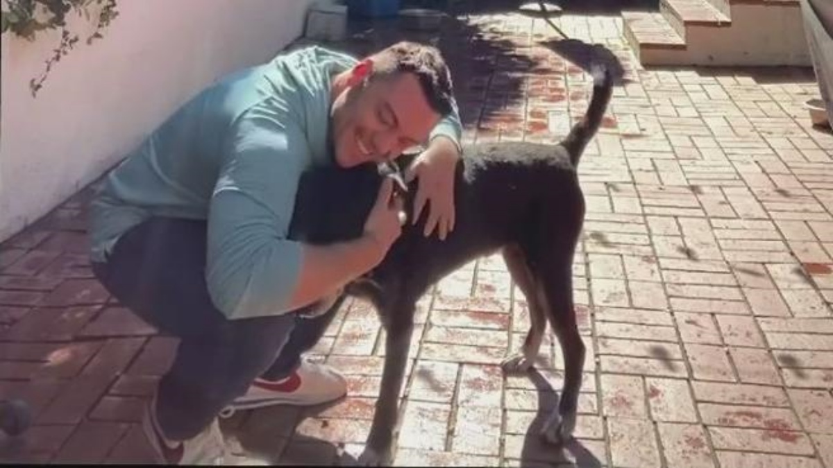 Tiziano Ferro adopts another dog