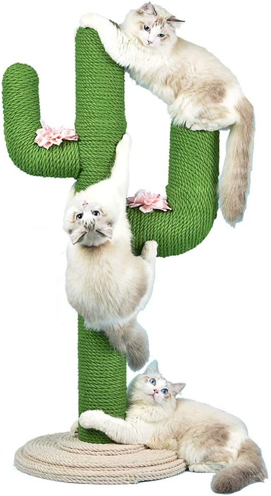 Wufeng Cat Scratching Post with Cactus with Sisal Rope, Educational Cat Toys, Suitable for all cats