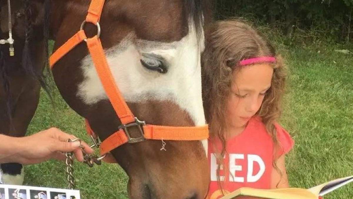 bambina legge storie al suo amico cavallo