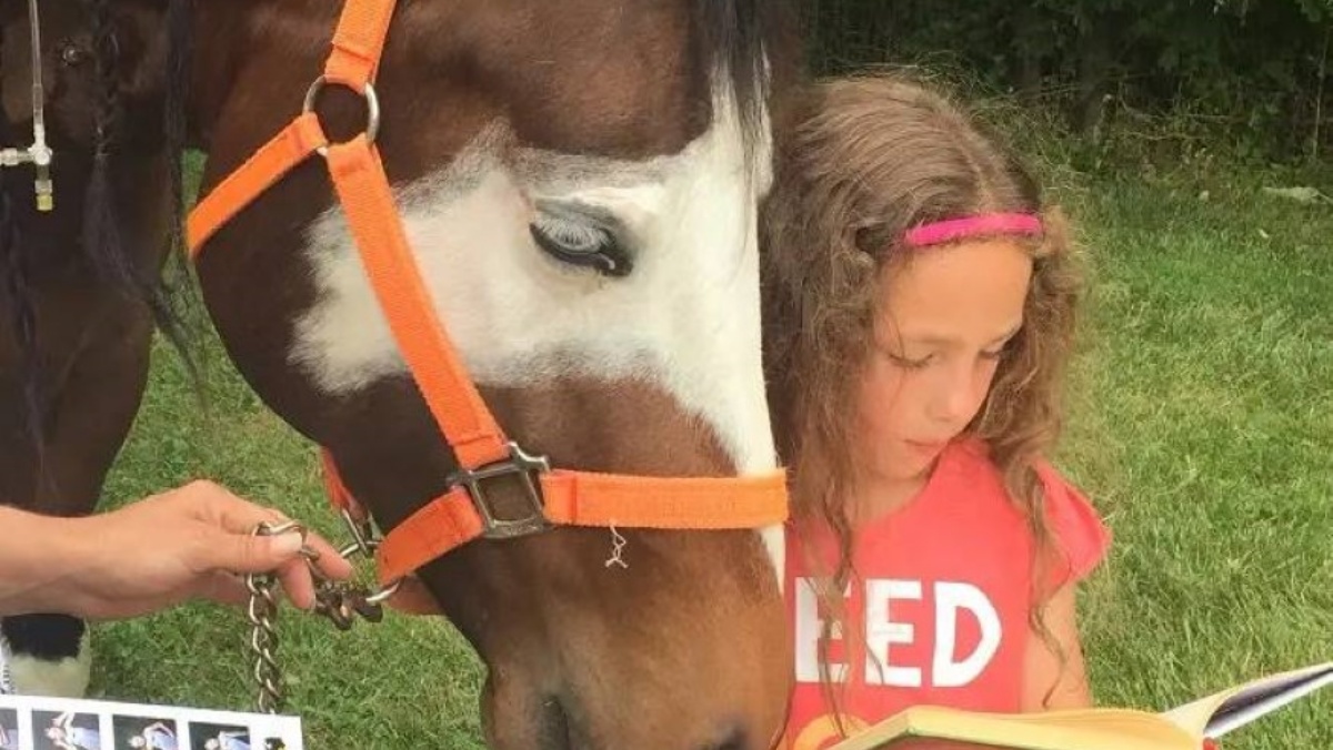 little girl reads stories to her horse friend