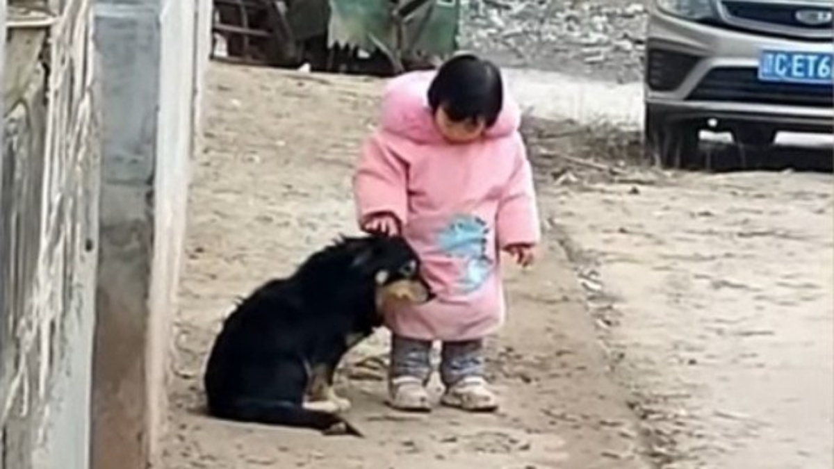 the video of the dog and the girl