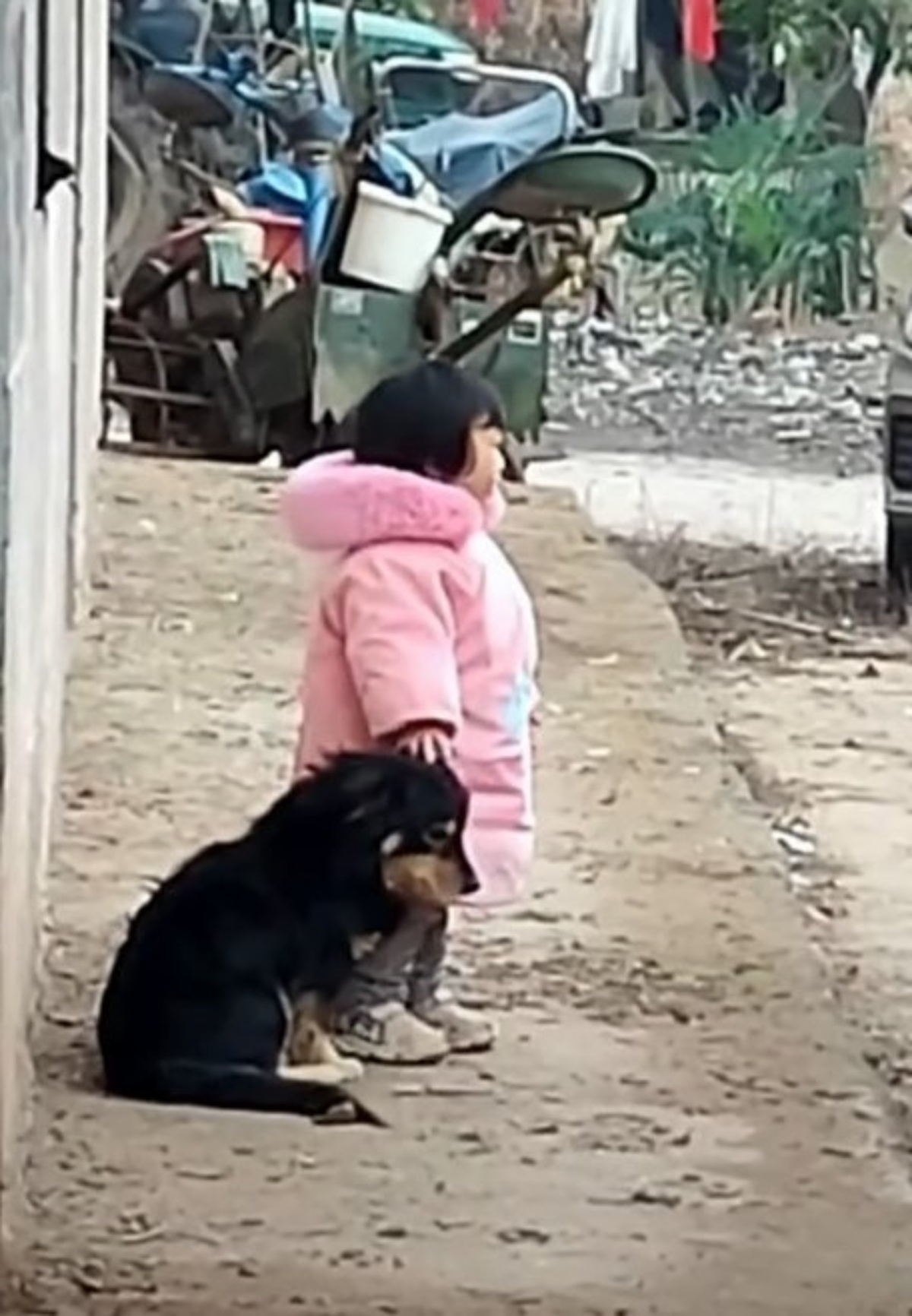 il video del cane e della bambina