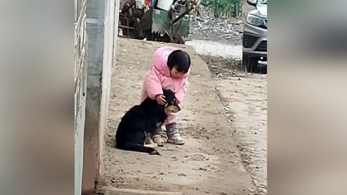 il video del cane e della bambina