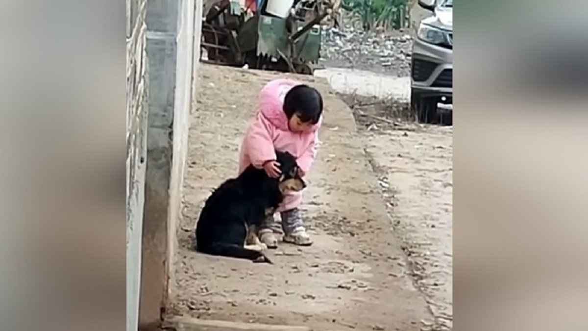 the video of the dog and the girl