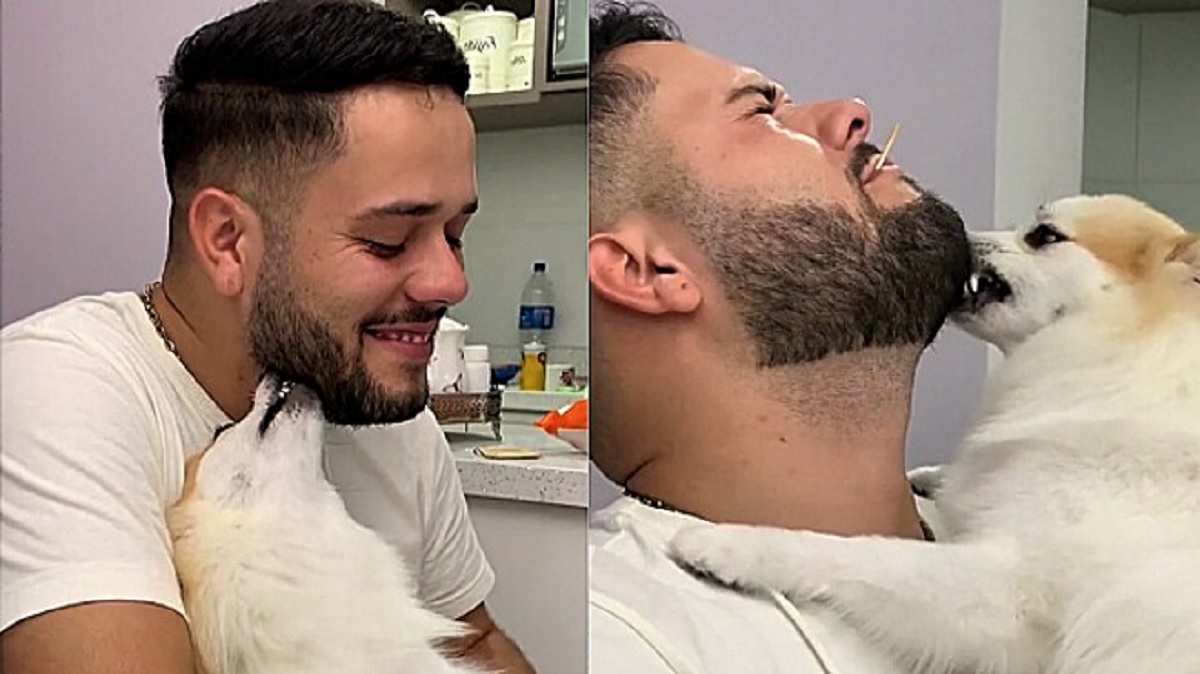 Cane morde la barba del ragazzo