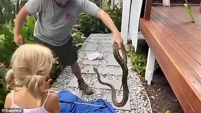 Sunshine Coast Snake Catchers