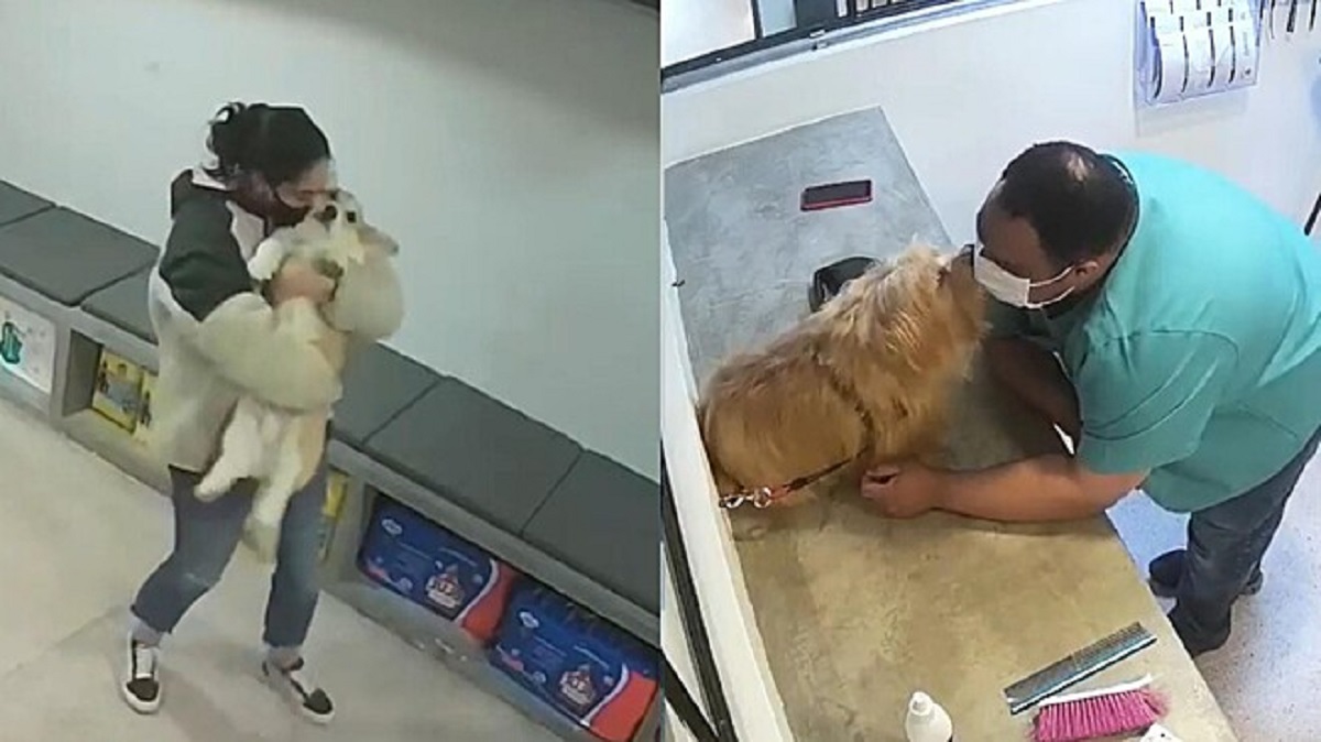 Dipendenti del negozio di animali ballano e baciano gli animali
