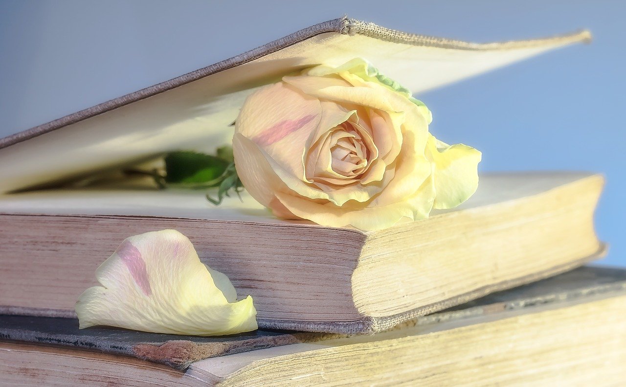 I migliori libri di poesie da leggere, condividere e regalare