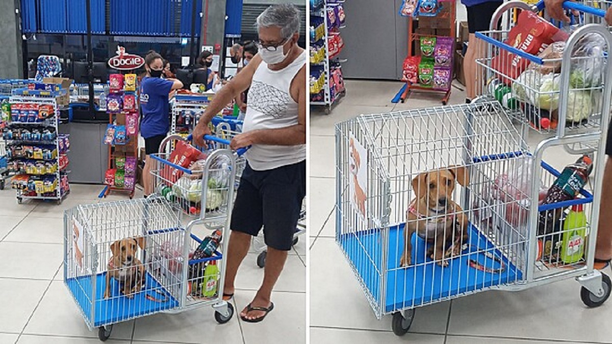 Supermercato offre carrello adattato per gli animali domestici