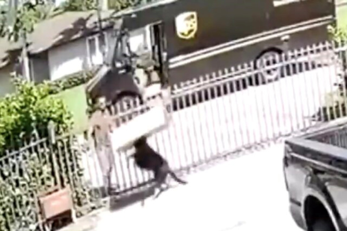 Fattorino della UPS lancia pacco in testa ad un cane