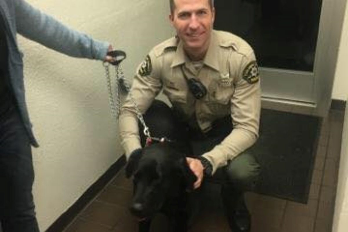 Ruger asks the deputy sheriff for help to get back to his home