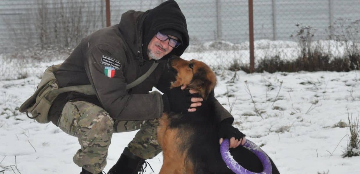 Animali randagi in Ucraina, Andrea Cisternino rimane nel paese anche dopo l’invasione della Russia