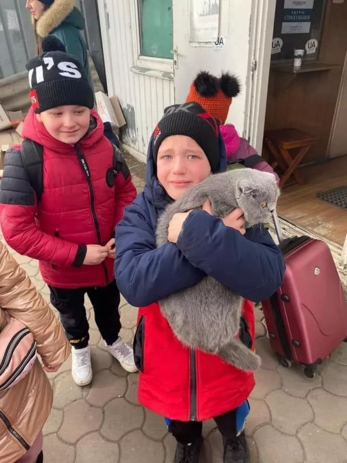 child hugs his cat again during the war