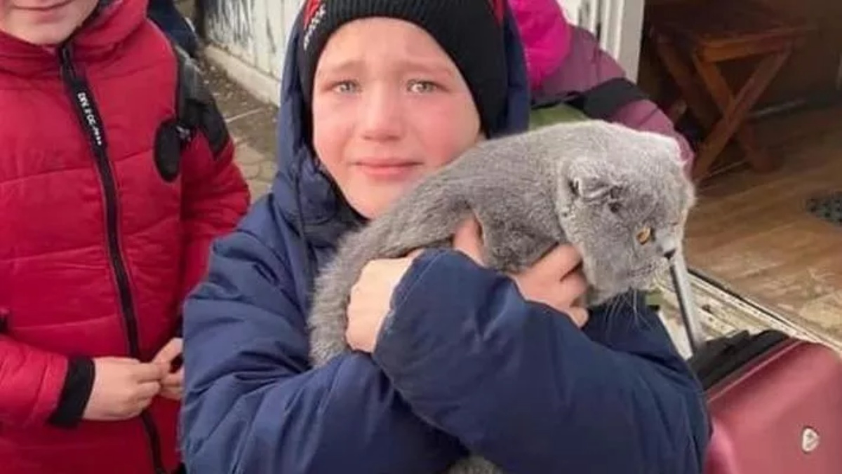 bambino riabbraccia il suo gatto durante la guerra