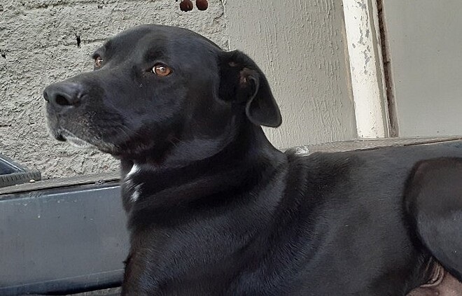 Bili