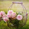 accessori per il giardino
