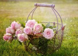 accessori per il giardino
