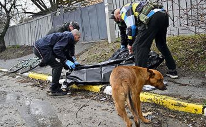 Cane veglia il corpo di un uomo ucciso a Bucha