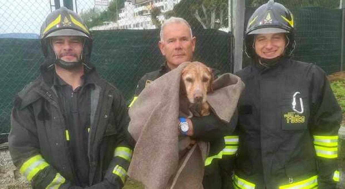 cane salvato a Muggia è morto