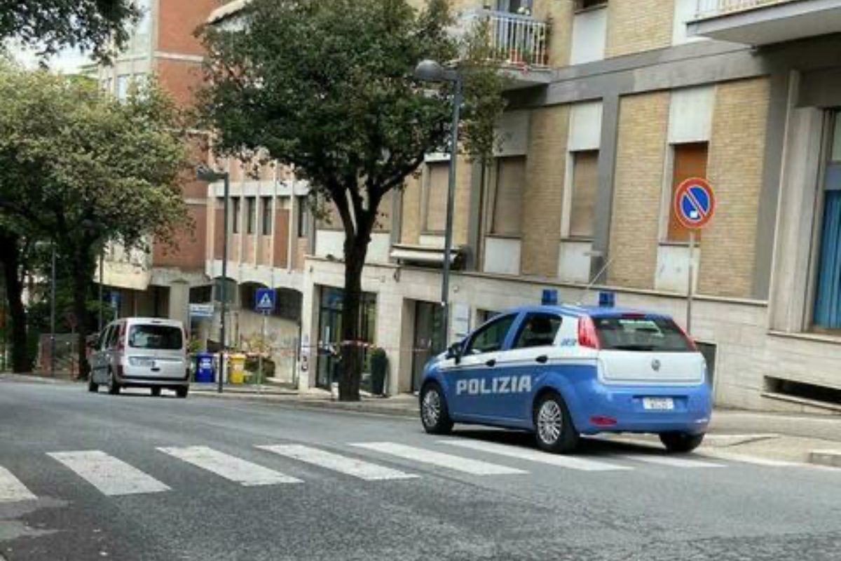 motivo bimba