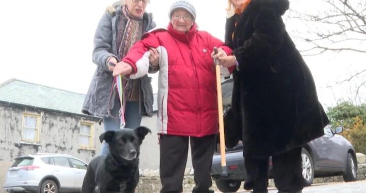 donna ucraina di 86 anni costretta a separarsi dal suo cane