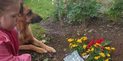 bimba e un cane che vegliano una tomba