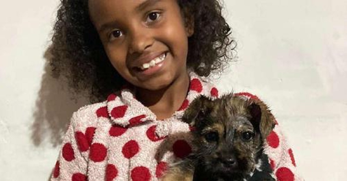 Bimba salva un cane maltrattato: era uscita per comprare il latte ed è tornata con un cucciolo