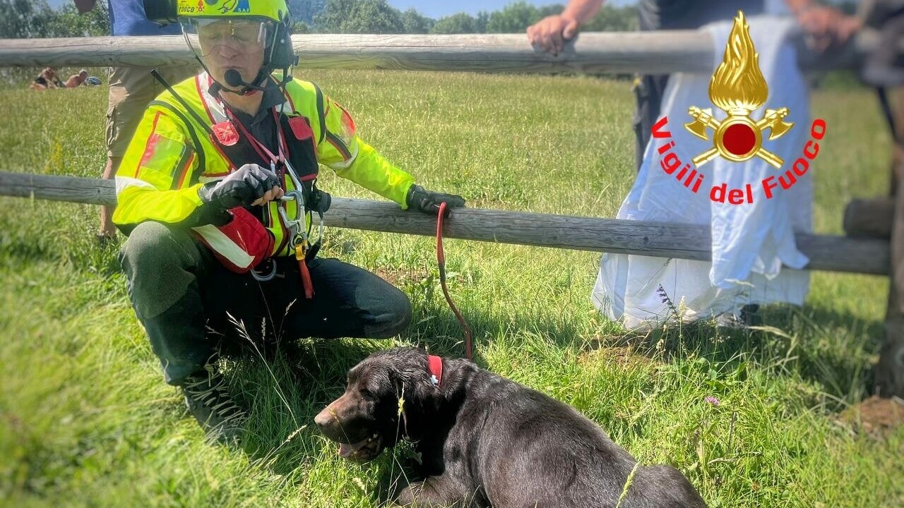 Cane ha un malore in alta montagna