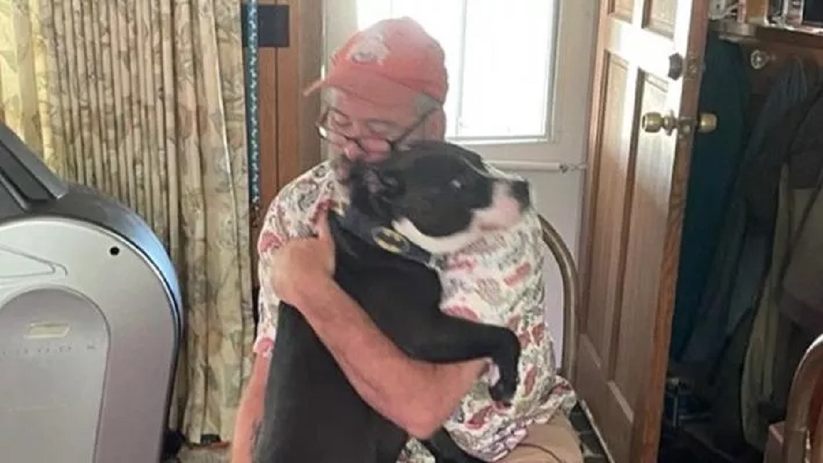 Cane adottato dal canile salva la vita al proprietario