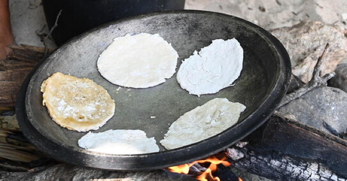 L'Isola dei Famosi: cosa mangiano davvero i naufraghi?