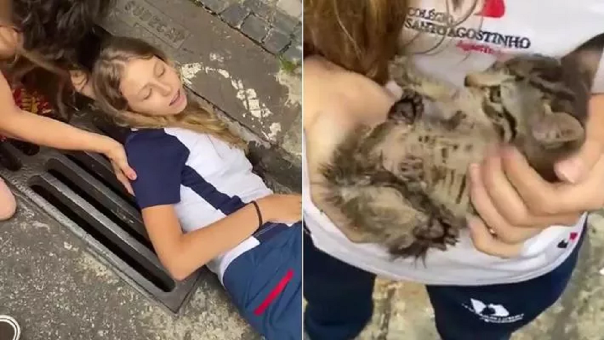Ragazzina salva un gatto in un canale di scolo