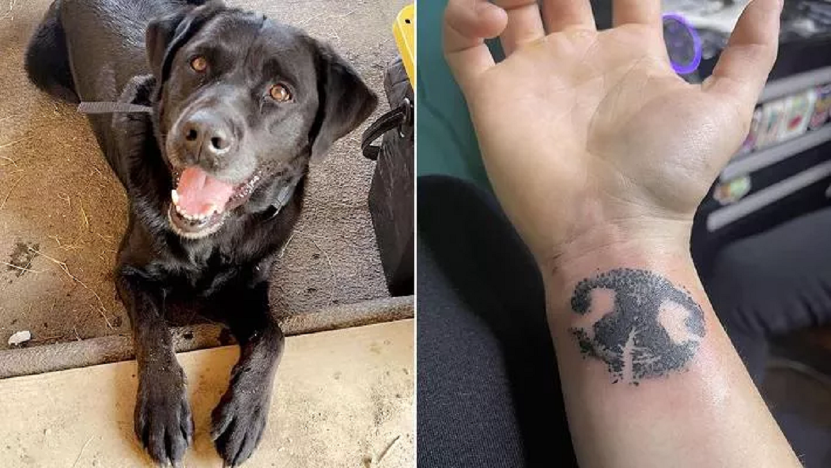 tatuaggio-per-il-cane-che-non-ce-piu-una-donna-omaggia-il-suo-labrador