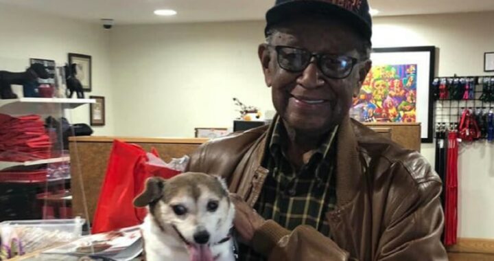 Cane di 12 anni salvato e adottato da un veterano