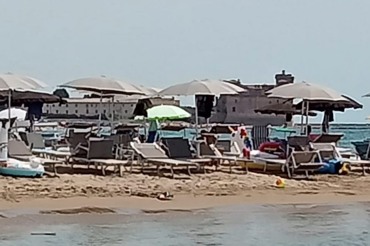 bagnino francesco