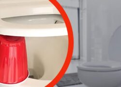 Bagno: ecco perché è importante lasciare un bicchiere nel WC