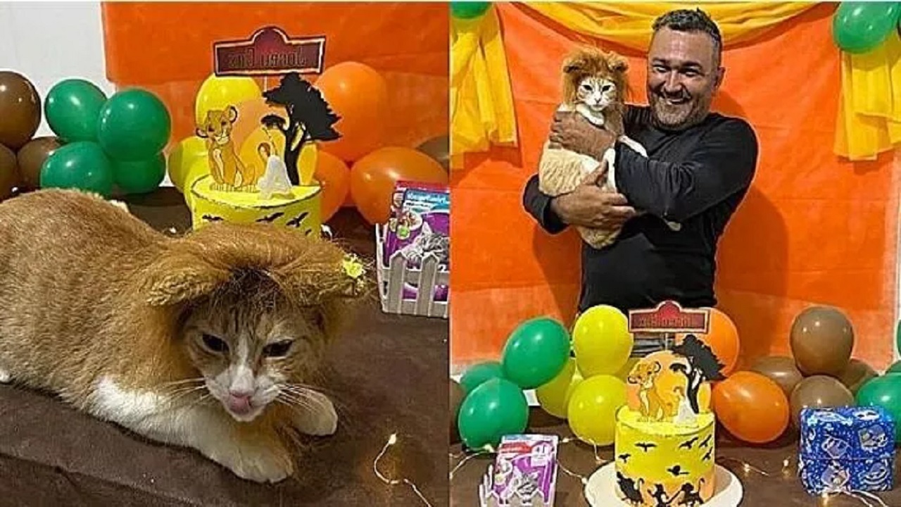 Rifiutava il gatto di casa, ora chiude presto il negozio per festeggiare il suo compleanno