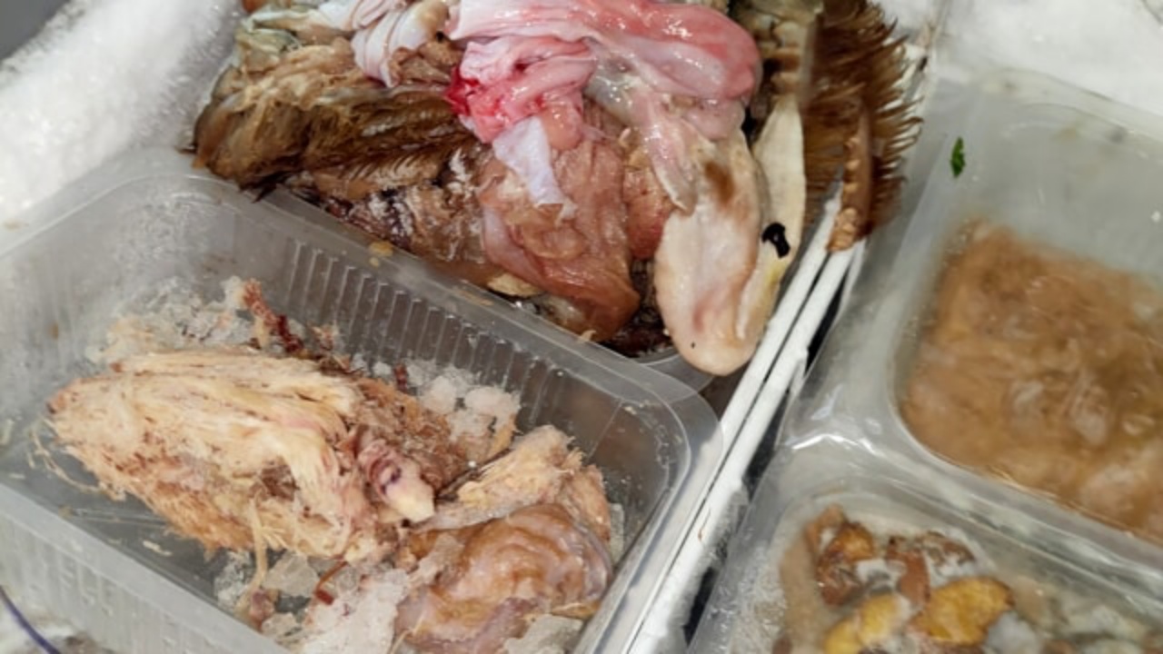 Prato, neonato di 10 giorni ricoverato in gravi condizioni dopo che la madre ha mangiato cibo crudo in gravidanza